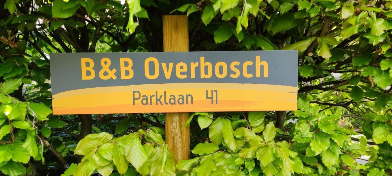 بيلتوفين Overbosch المظهر الخارجي الصورة